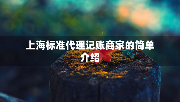 上海標(biāo)準(zhǔn)代理記賬商家的簡單介紹