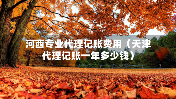 河西專業(yè)代理記賬費用（天津代理記賬一年多少錢）