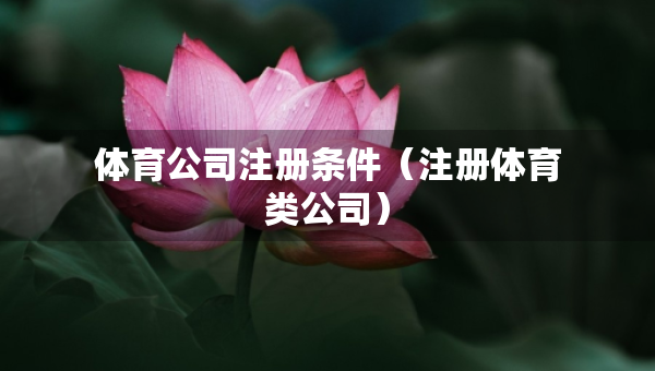 體育公司注冊(cè)條件（注冊(cè)體育類(lèi)公司）