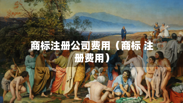 商標(biāo)注冊(cè)公司費(fèi)用（商標(biāo) 注冊(cè)費(fèi)用）