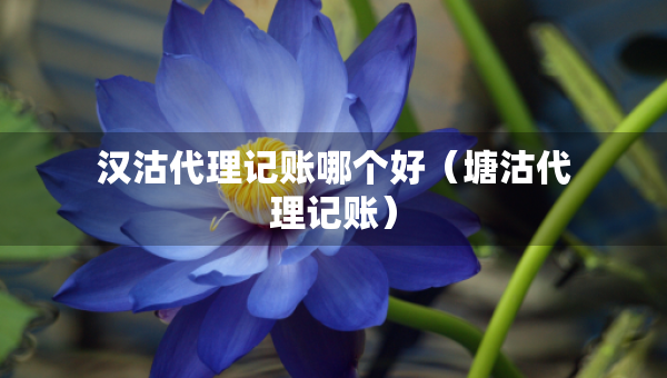 漢沽代理記賬哪個好（塘沽代理記賬）