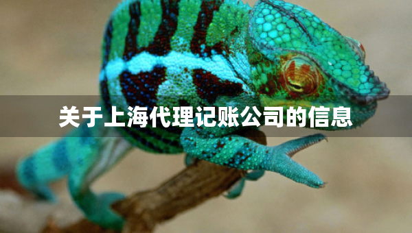 關(guān)于上海代理記賬公司的信息