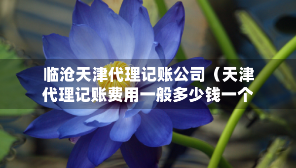 臨滄天津代理記賬公司（天津代理記賬費用一般多少錢一個月）