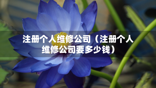 注冊(cè)個(gè)人維修公司（注冊(cè)個(gè)人維修公司要多少錢）