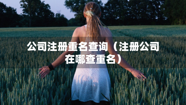 公司注冊(cè)重名查詢（注冊(cè)公司在哪查重名）