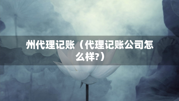 州代理記賬（代理記賬公司怎么樣?）