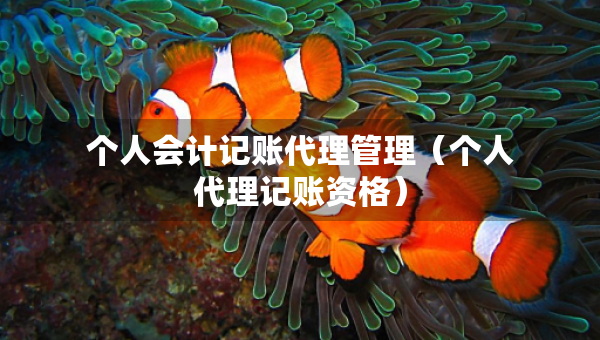 個人會計記賬代理管理（個人代理記賬資格）