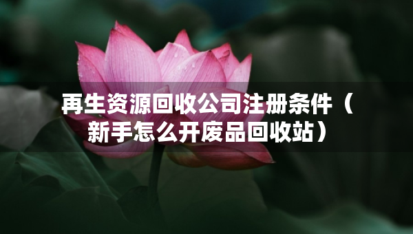 再生資源回收公司注冊條件（新手怎么開廢品回收站）