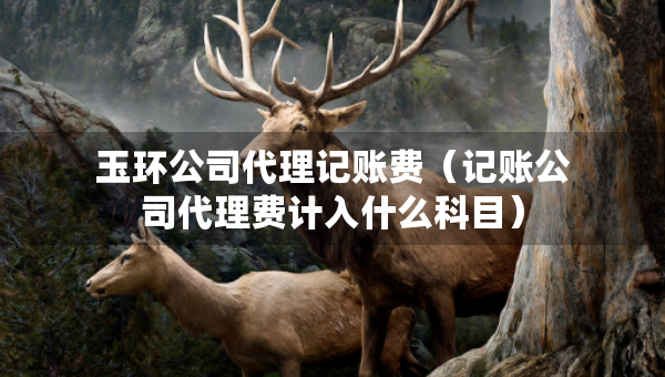 玉環(huán)公司代理記賬費（記賬公司代理費計入什么科目）