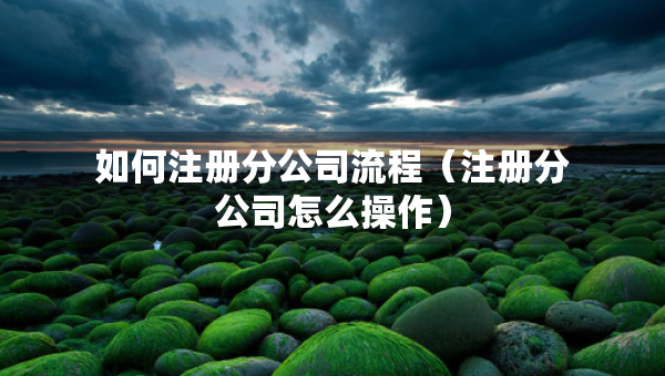 如何注冊分公司流程（注冊分公司怎么操作）