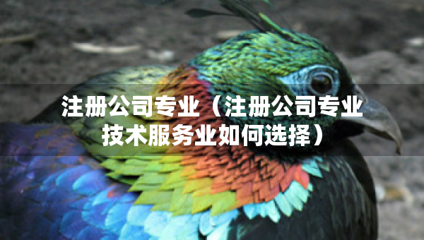 注冊公司專業(yè)（注冊公司專業(yè)技術(shù)服務(wù)業(yè)如何選擇）