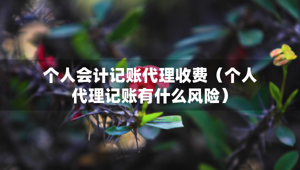 個(gè)人會(huì)計(jì)記賬代理收費(fèi)（個(gè)人代理記賬有什么風(fēng)險(xiǎn)）