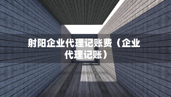 射陽企業(yè)代理記賬費（企業(yè) 代理記賬）