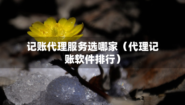 記賬代理服務(wù)選哪家（代理記賬軟件排行）