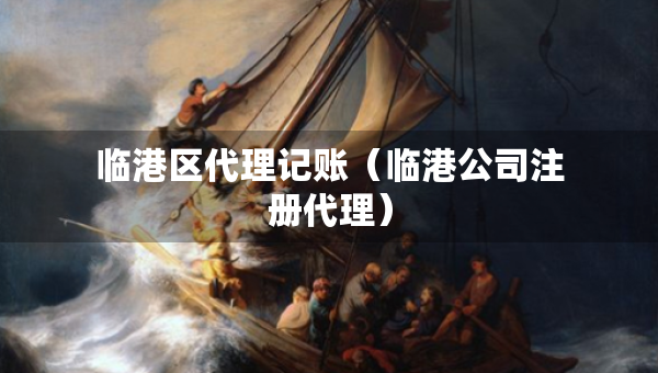 臨港區(qū)代理記賬（臨港公司注冊代理）