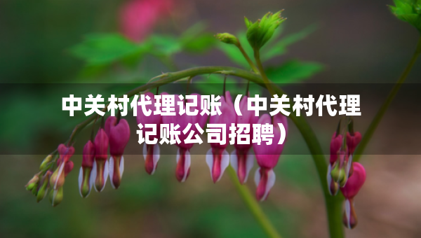 中關(guān)村代理記賬（中關(guān)村代理記賬公司招聘）