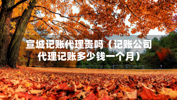 宣城記賬代理貴嗎（記賬公司代理記賬多少錢一個月）