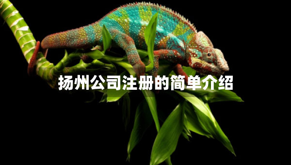 揚州公司注冊的簡單介紹