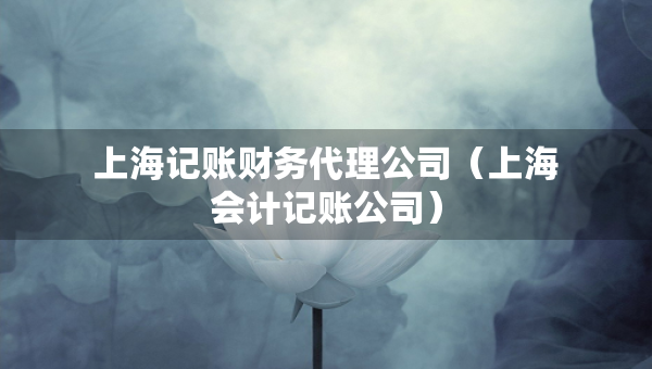 上海記賬財務(wù)代理公司（上海會計記賬公司）