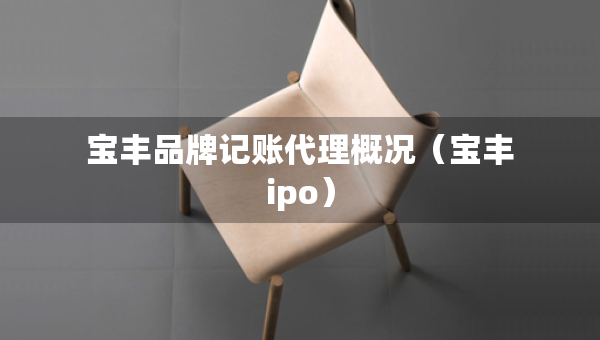 寶豐品牌記賬代理概況（寶豐ipo）