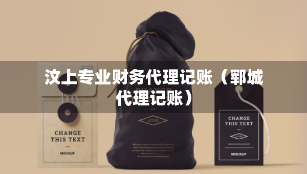 汶上專業(yè)財(cái)務(wù)代理記賬（鄆城代理記賬）
