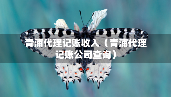 青浦代理記賬收入（青浦代理記賬公司查詢）