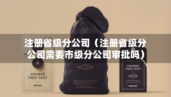 注冊(cè)省級(jí)分公司（注冊(cè)省級(jí)分公司需要市級(jí)分公司審批嗎）