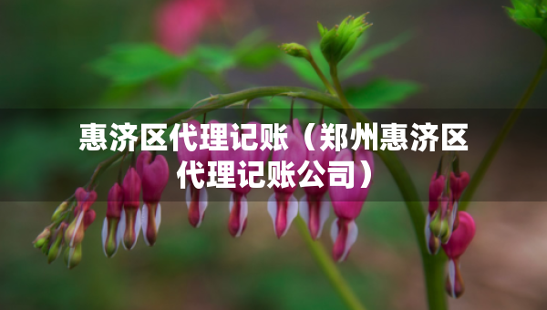惠濟(jì)區(qū)代理記賬（鄭州惠濟(jì)區(qū)代理記賬公司）