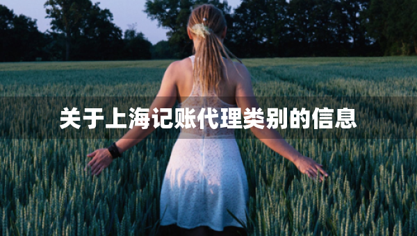 關于上海記賬代理類別的信息