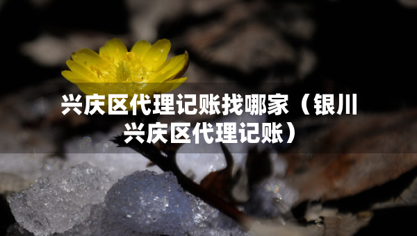 興慶區(qū)代理記賬找哪家（銀川興慶區(qū)代理記賬）