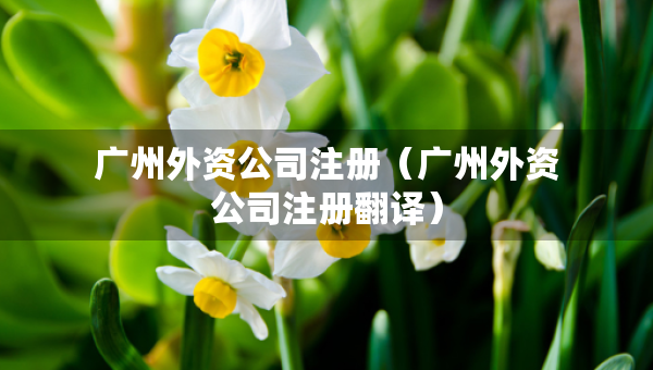 廣州外資公司注冊(cè)（廣州外資公司注冊(cè)翻譯）
