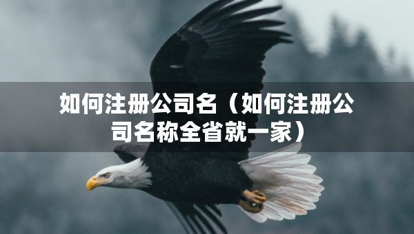 如何注冊公司名（如何注冊公司名稱全省就一家）