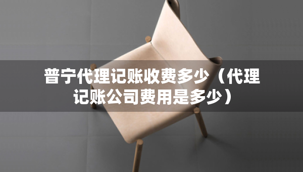 普寧代理記賬收費多少（代理記賬公司費用是多少）