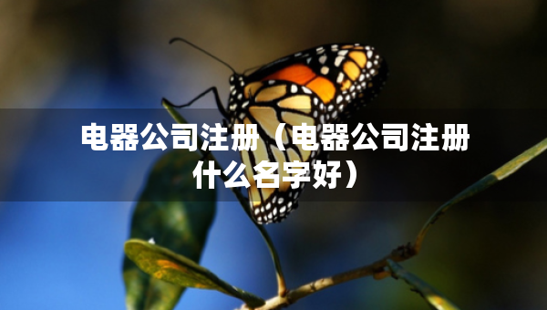 電器公司注冊（電器公司注冊什么名字好）