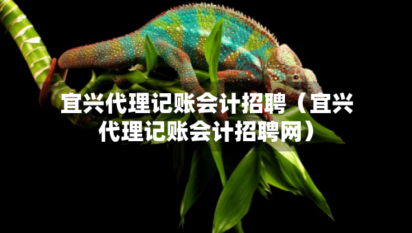 宜興代理記賬會計招聘（宜興代理記賬會計招聘網）