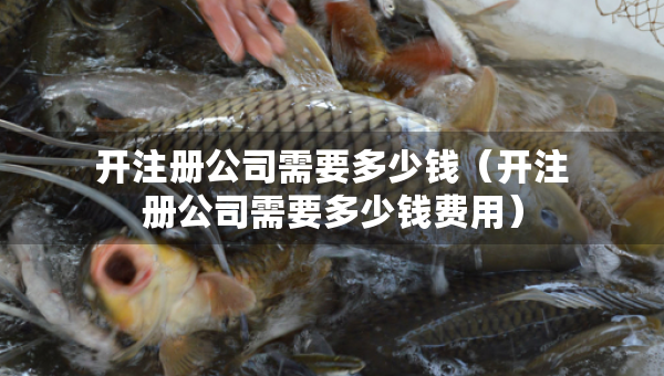 開(kāi)注冊(cè)公司需要多少錢（開(kāi)注冊(cè)公司需要多少錢費(fèi)用）