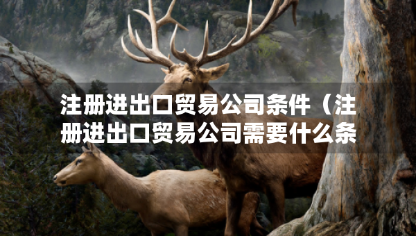 注冊(cè)進(jìn)出口貿(mào)易公司條件（注冊(cè)進(jìn)出口貿(mào)易公司需要什么條件呢）