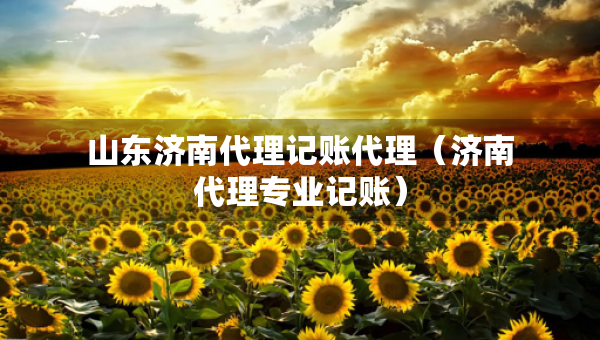 山東濟南代理記賬代理（濟南代理專業(yè)記賬）
