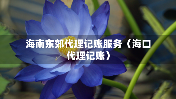 海南東郊代理記賬服務(wù)（?？诖碛涃~）