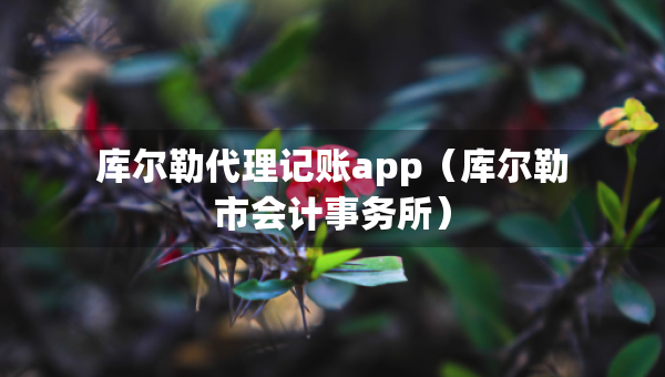 庫爾勒代理記賬app（庫爾勒市會(huì)計(jì)事務(wù)所）