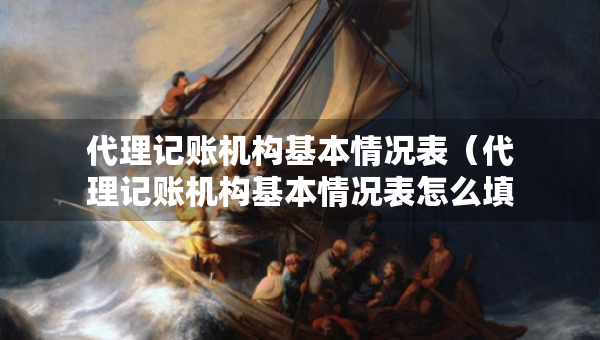 代理記賬機構基本情況表（代理記賬機構基本情況表怎么填）