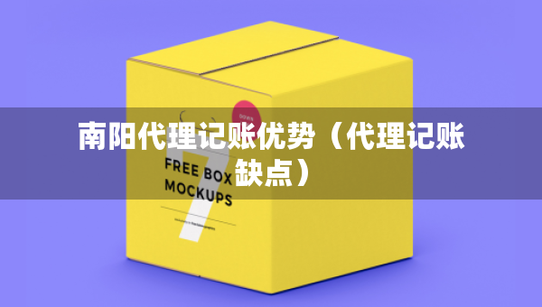 南陽代理記賬優(yōu)勢（代理記賬缺點(diǎn)）