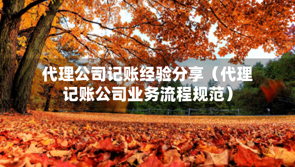 代理公司記賬經(jīng)驗分享（代理記賬公司業(yè)務流程規(guī)范）