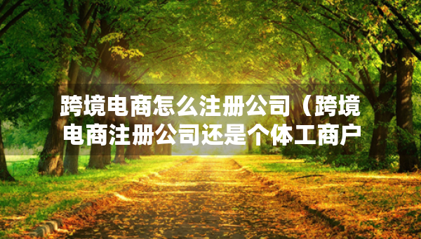 跨境電商怎么注冊(cè)公司（跨境電商注冊(cè)公司還是個(gè)體工商戶）
