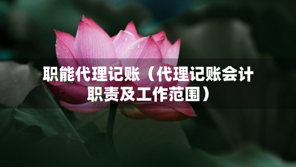 職能代理記賬（代理記賬會(huì)計(jì)職責(zé)及工作范圍）