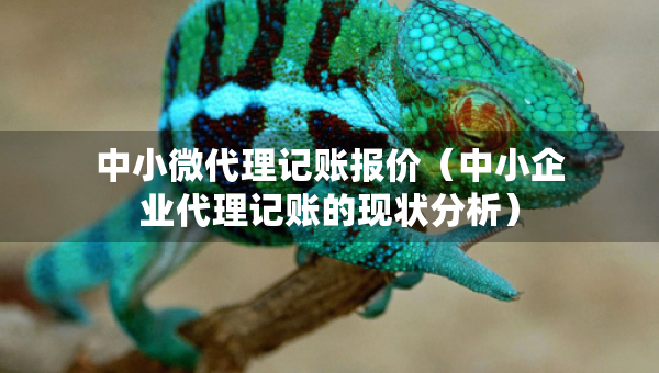 中小微代理記賬報價（中小企業(yè)代理記賬的現(xiàn)狀分析）