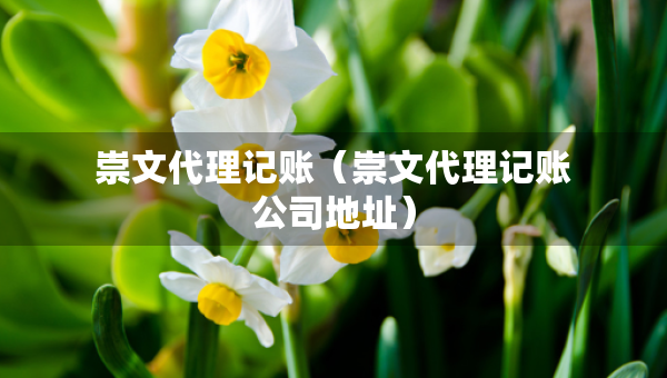 崇文代理記賬（崇文代理記賬公司地址）