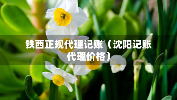 鐵西正規(guī)代理記賬（沈陽記賬代理價格）