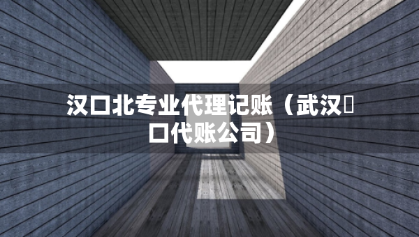 漢口北專業(yè)代理記賬（武漢硚口代賬公司）
