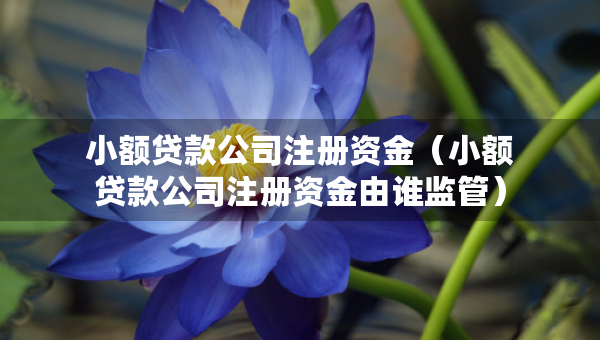 小額貸款公司注冊(cè)資金（小額貸款公司注冊(cè)資金由誰(shuí)監(jiān)管）